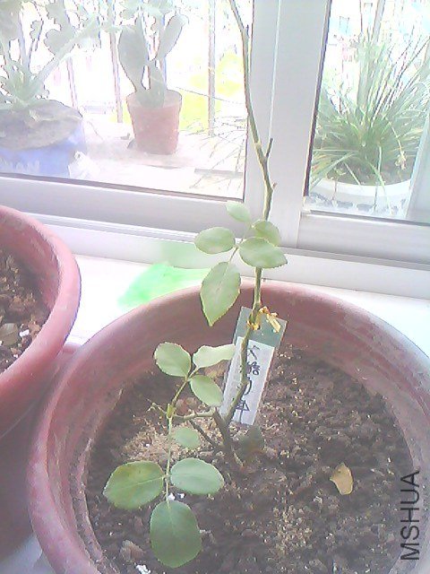 ��17��10.20 ��**.jpg