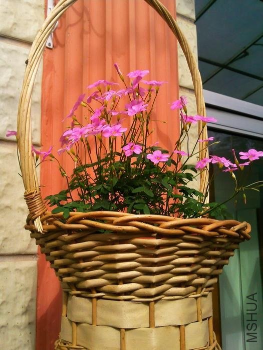 ��Ƭ0149.jpg