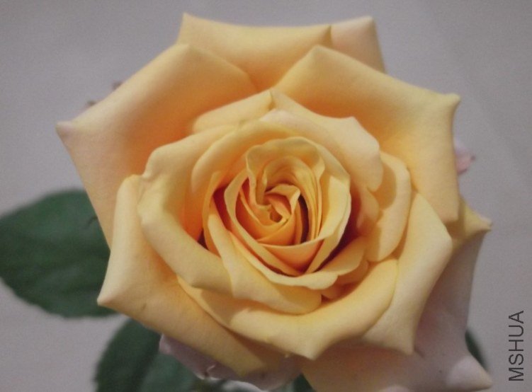 QQ��ͼ20121021223528.jpg