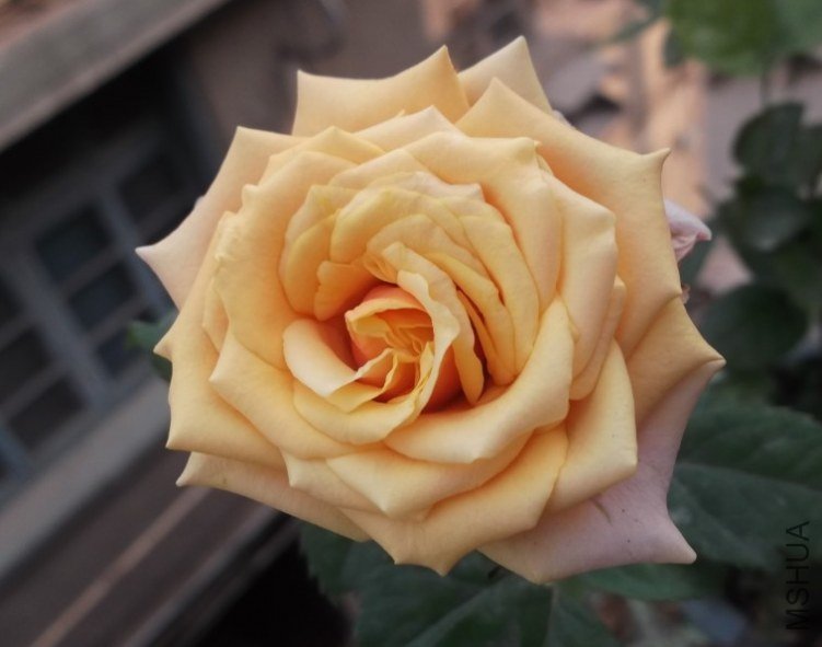 QQ��ͼ20121021223541.jpg