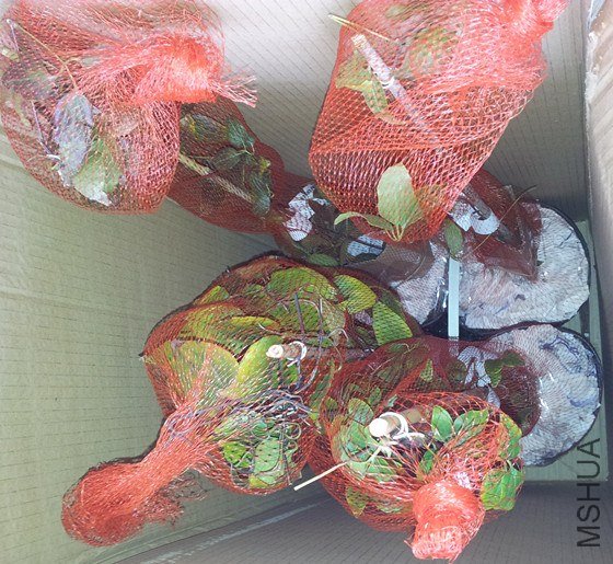 20121021_093728_����.jpg