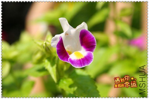 ��Ƭ 155_����.jpg