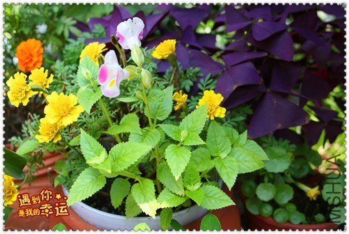 ��Ƭ 158_����.jpg