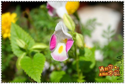 ��Ƭ 162_����.jpg