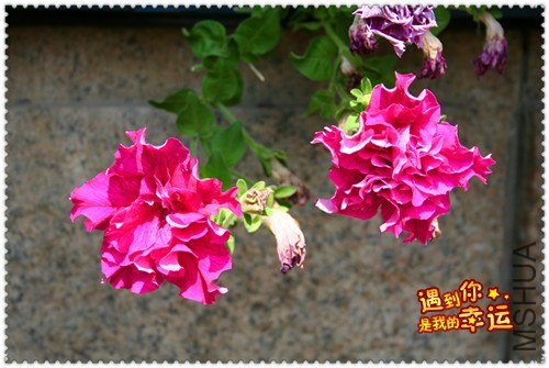 ��Ƭ 174_����.jpg