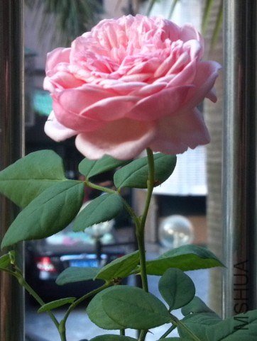 QQ��ͼ20121022104019.jpg