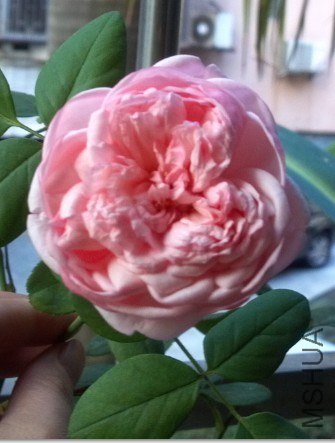 QQ��ͼ20121022104114.jpg