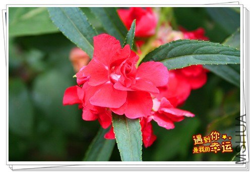 ��Ƭ 101_����1.jpg