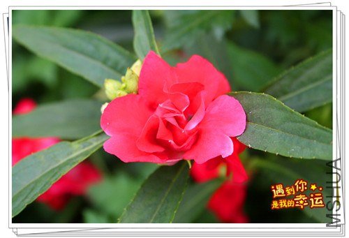 ��Ƭ 101_����2.jpg