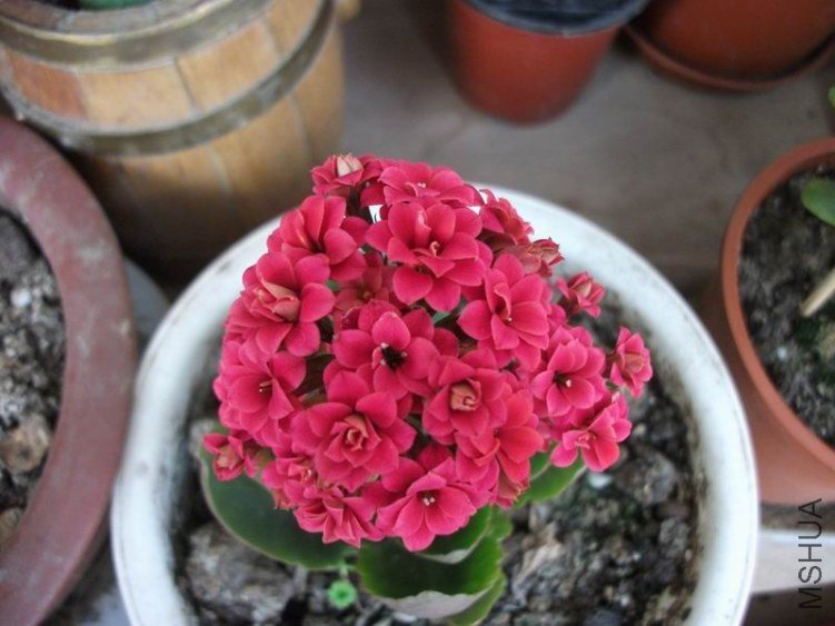 2011 119.jpg