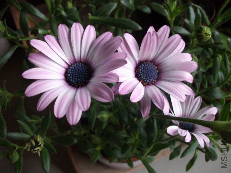 2011 127.jpg