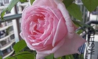 20121022_065752.jpg