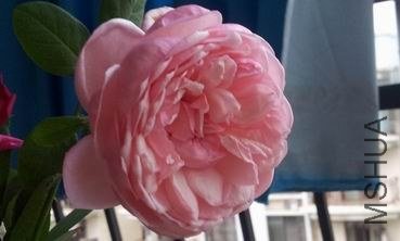 20121010_071149.jpg