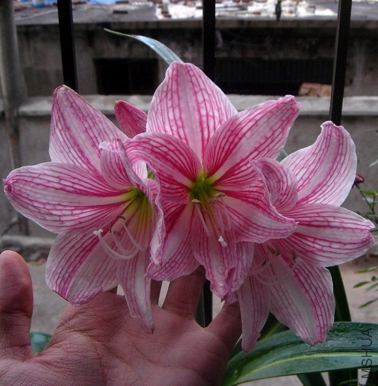 DSC04400.JPG