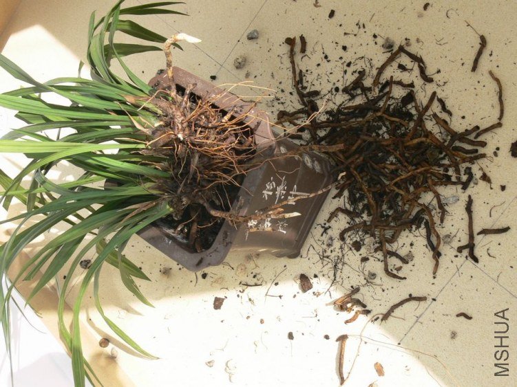 ��ʣ�ļ�����