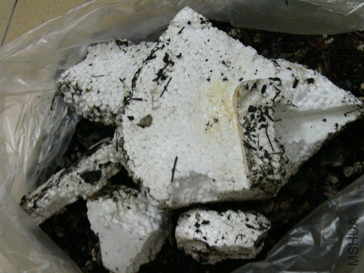 ��״�������ĭ��