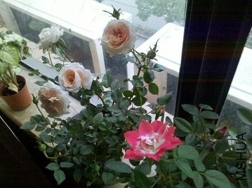 2012-10-22_12-17-01_434g.JPG