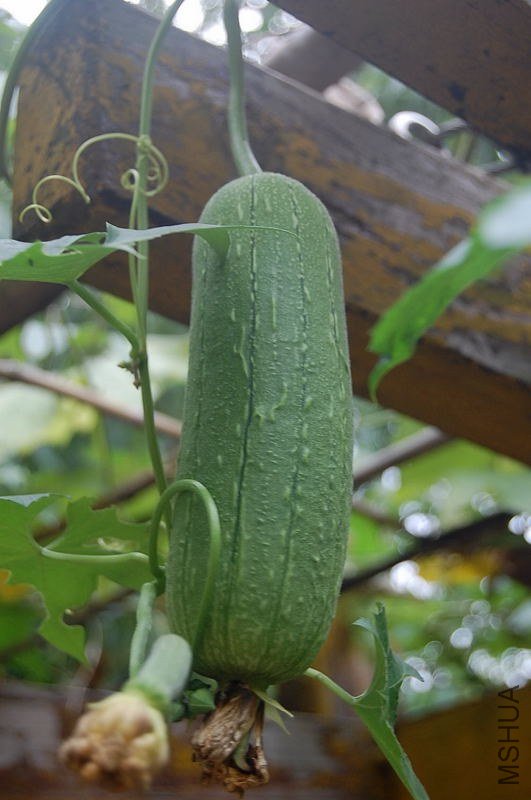 DSC_01090109.jpg