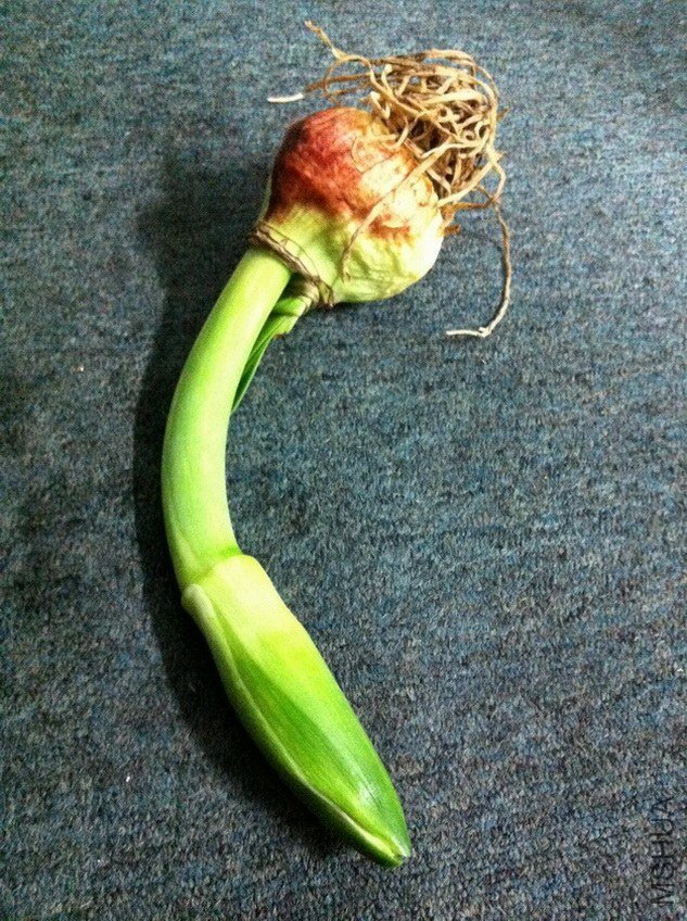 ���� 001.jpg