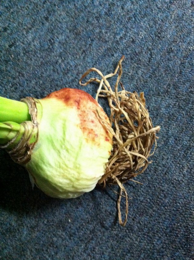 ���� 002.jpg