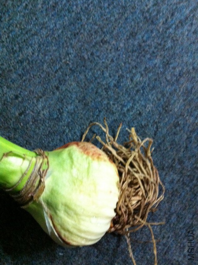 ���� 003.jpg