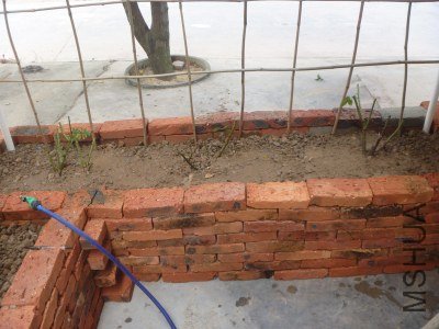 P1020708_�༭.jpg