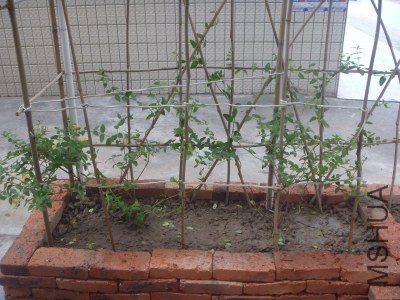 P1020755_�༭.jpg