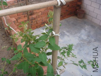 P1020756_�༭.jpg