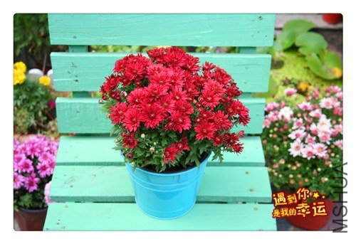 ��Ƭ 035_����.jpg