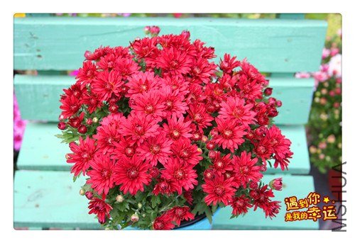 ��Ƭ 038_����.jpg