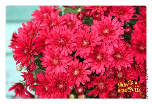 ��Ƭ 040_����.jpg