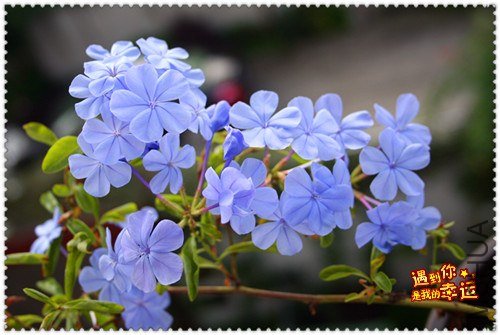 ��Ƭ 181_����.jpg