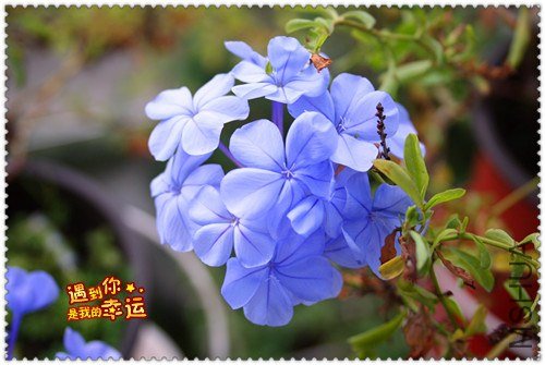 ��Ƭ 186_����.jpg