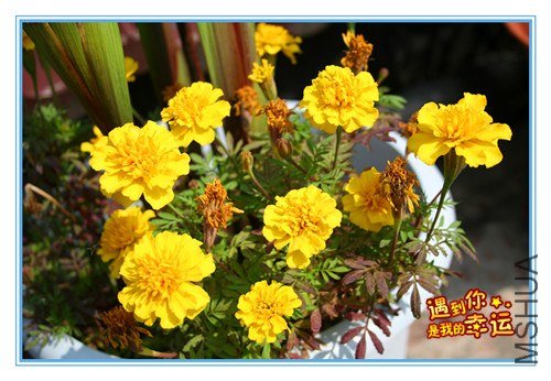 ��Ƭ 198_����.jpg