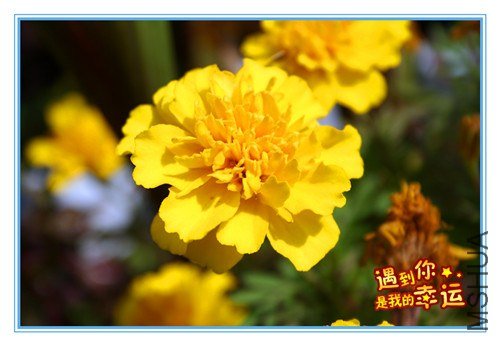 ��Ƭ 200_����.jpg