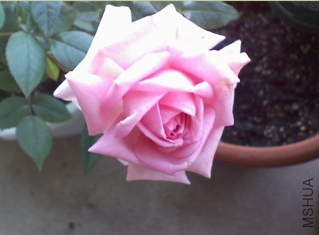 һ�����ˣ�Overnight Scentsation��2.jpg