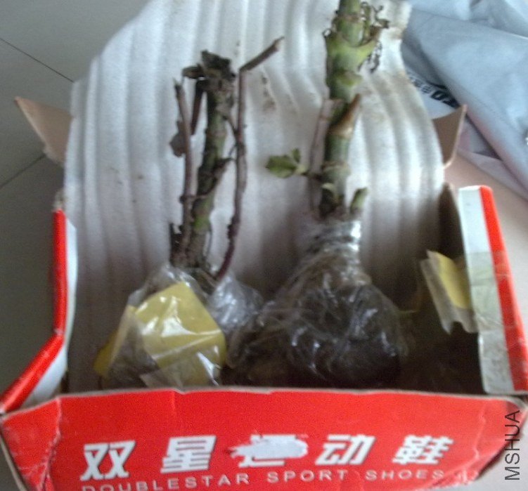 QQ��ͼ20121024163728.jpg