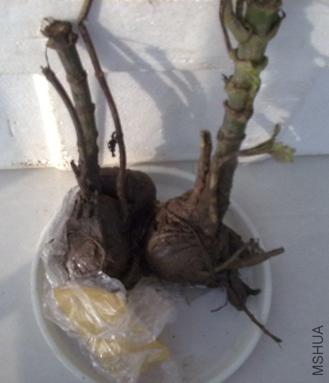 QQ��ͼ20121024163738.jpg