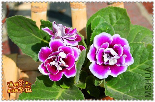 ��Ƭ 178_����.jpg