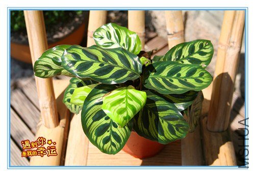 ��Ƭ 185_����.jpg