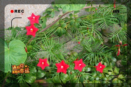 ��Ƭ 050_����.jpg