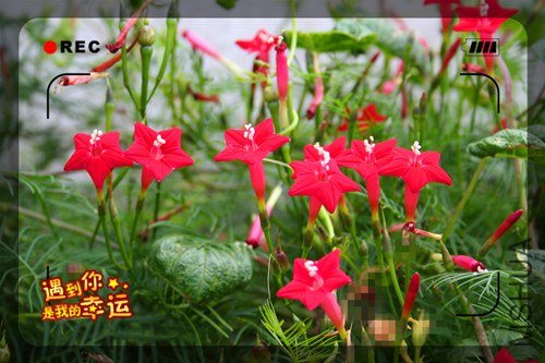 ��Ƭ 050_����1.jpg