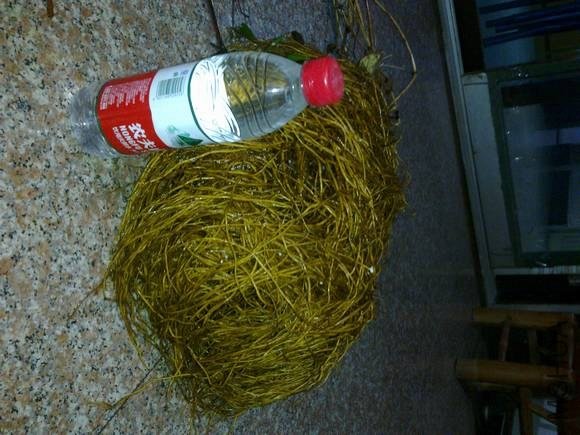 20121024026.jpg