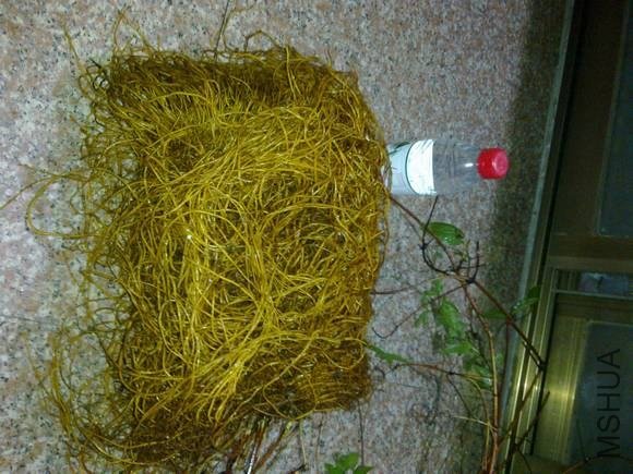 20121024027.jpg