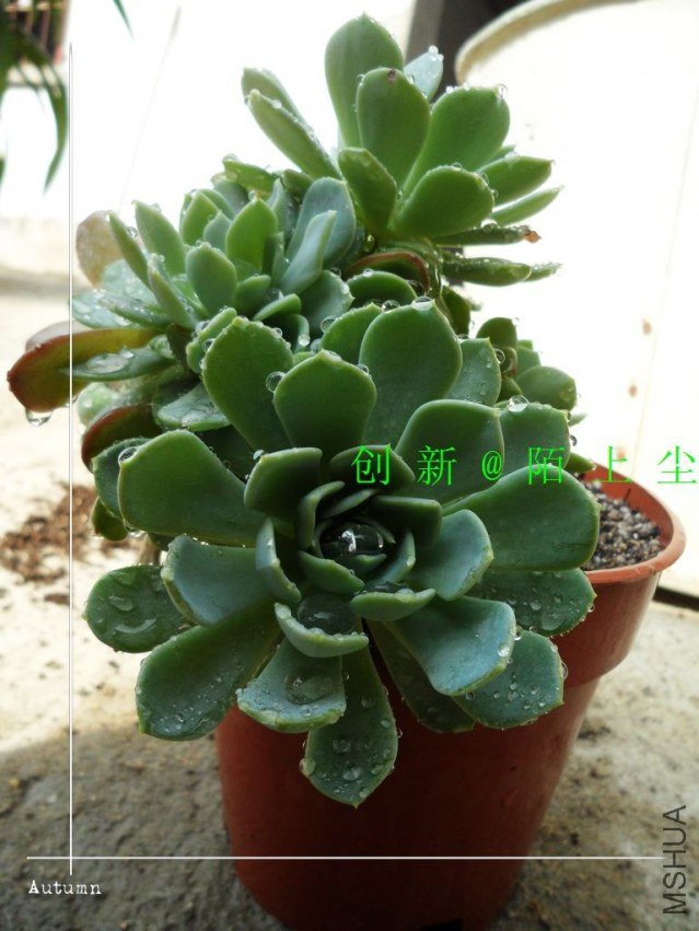 nEO_IMG_SAM_5723.jpg
