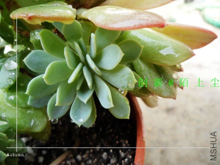 nEO_IMG_SAM_5727.jpg