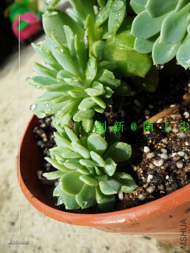 nEO_IMG_SAM_5730.jpg