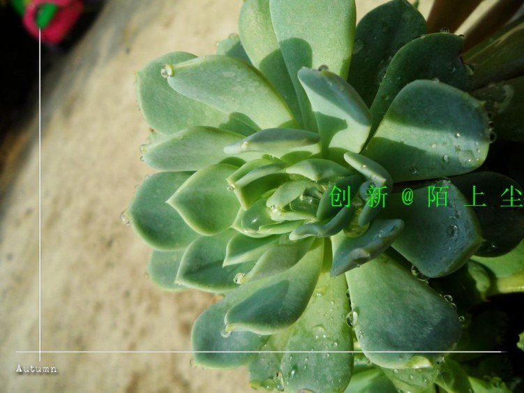 nEO_IMG_SAM_5731.jpg