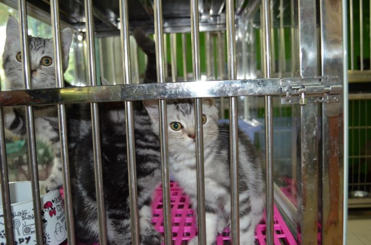 nEO_IMG_DSC_0049.jpg