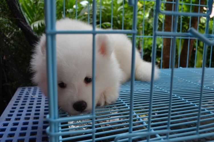 nEO_IMG_DSC_0052.jpg